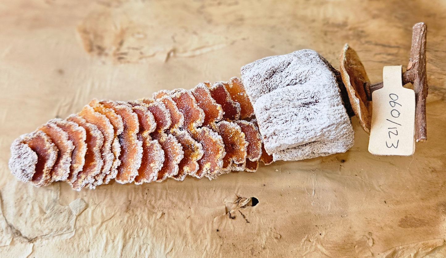 Hoshigaki - 55 Day aged -2025 Vintage